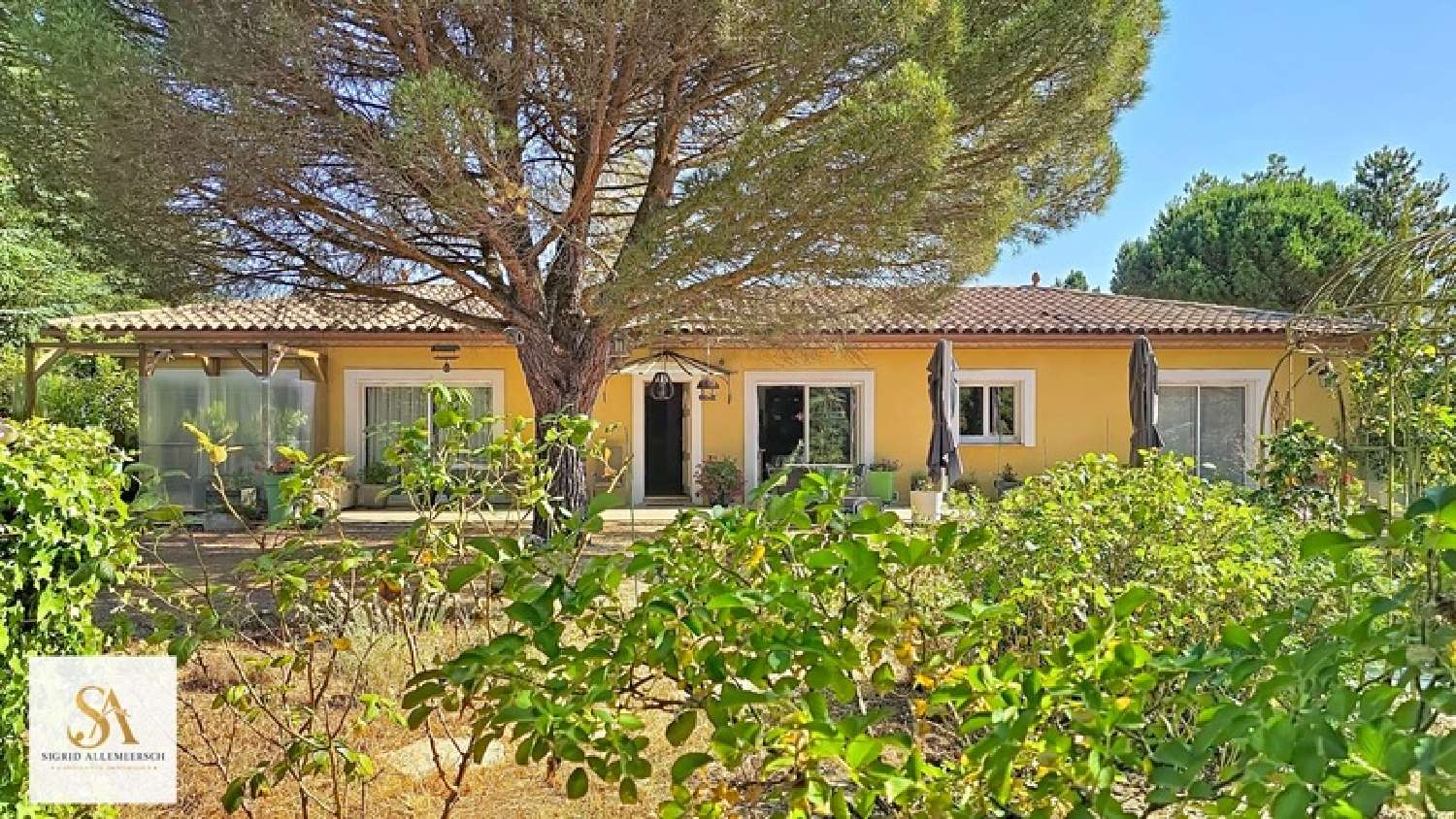  te koop huis Villardonnel Aude 1