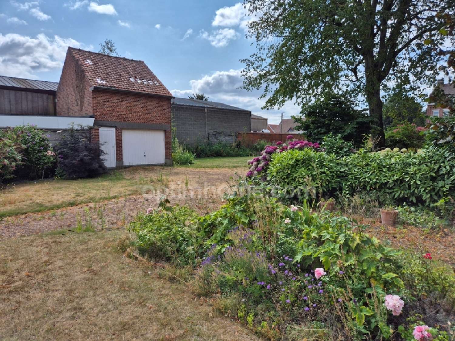 à vendre maison bourgeoise Bousbecque Nord 5