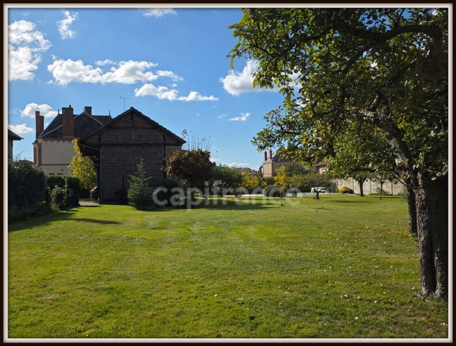 for sale mansion Pressigny-les Pins Loiret 3