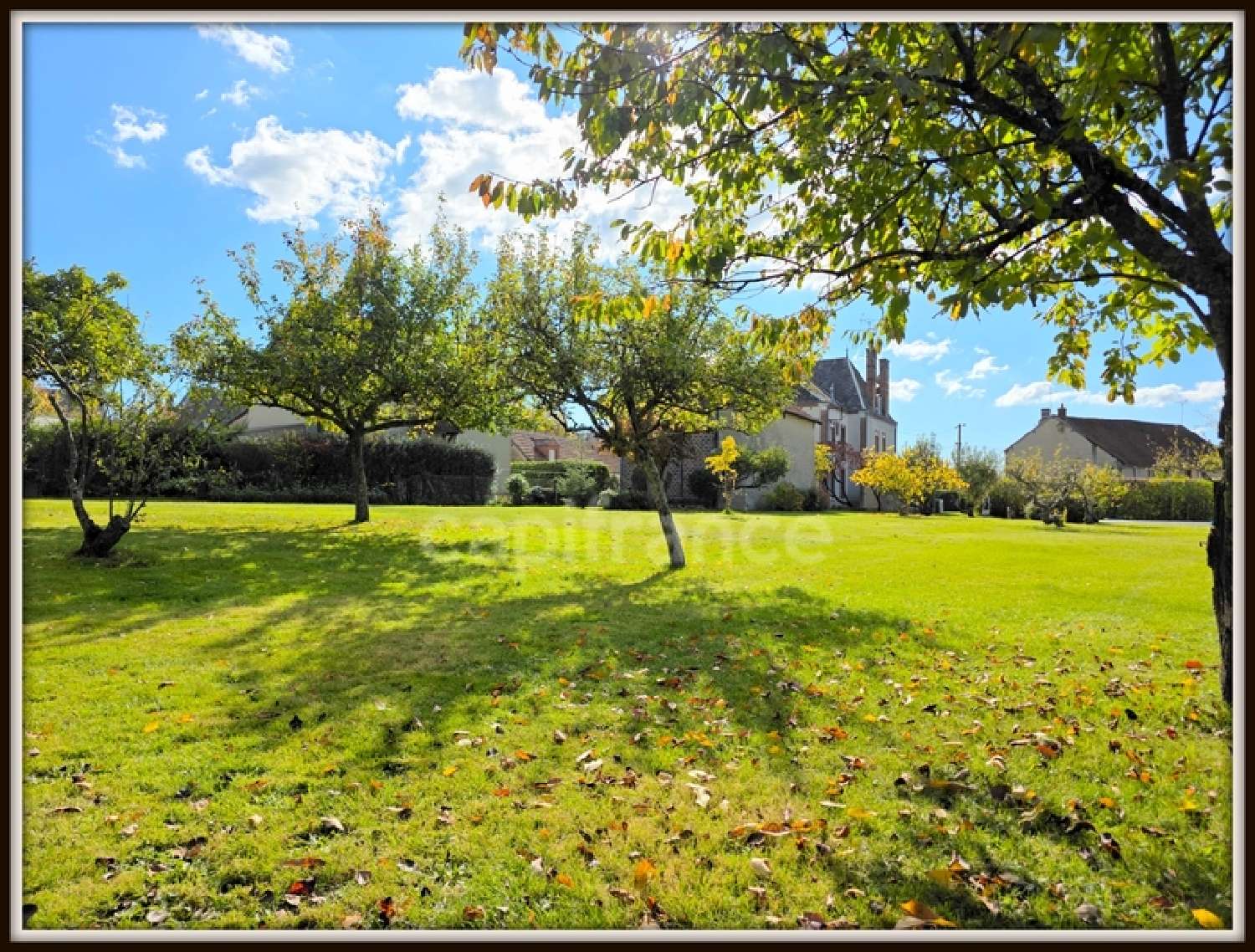 for sale mansion Pressigny-les Pins Loiret 4