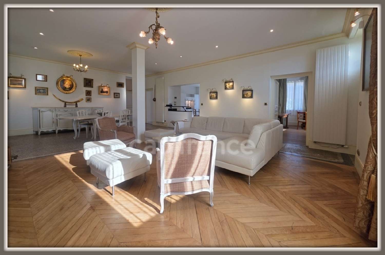 for sale mansion Pressigny-les Pins Loiret 7