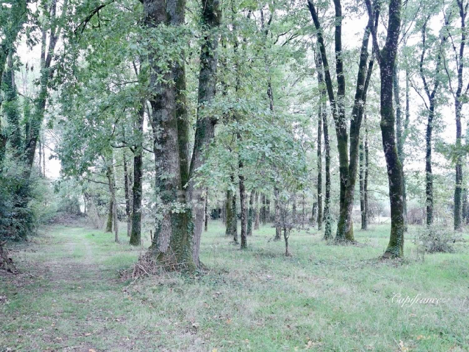 en venta mansión Puy-de-Serre Vendée 4