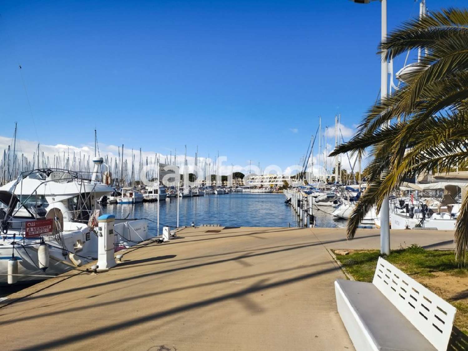 for sale restaurant Le Grau-du-Roi Gard 3