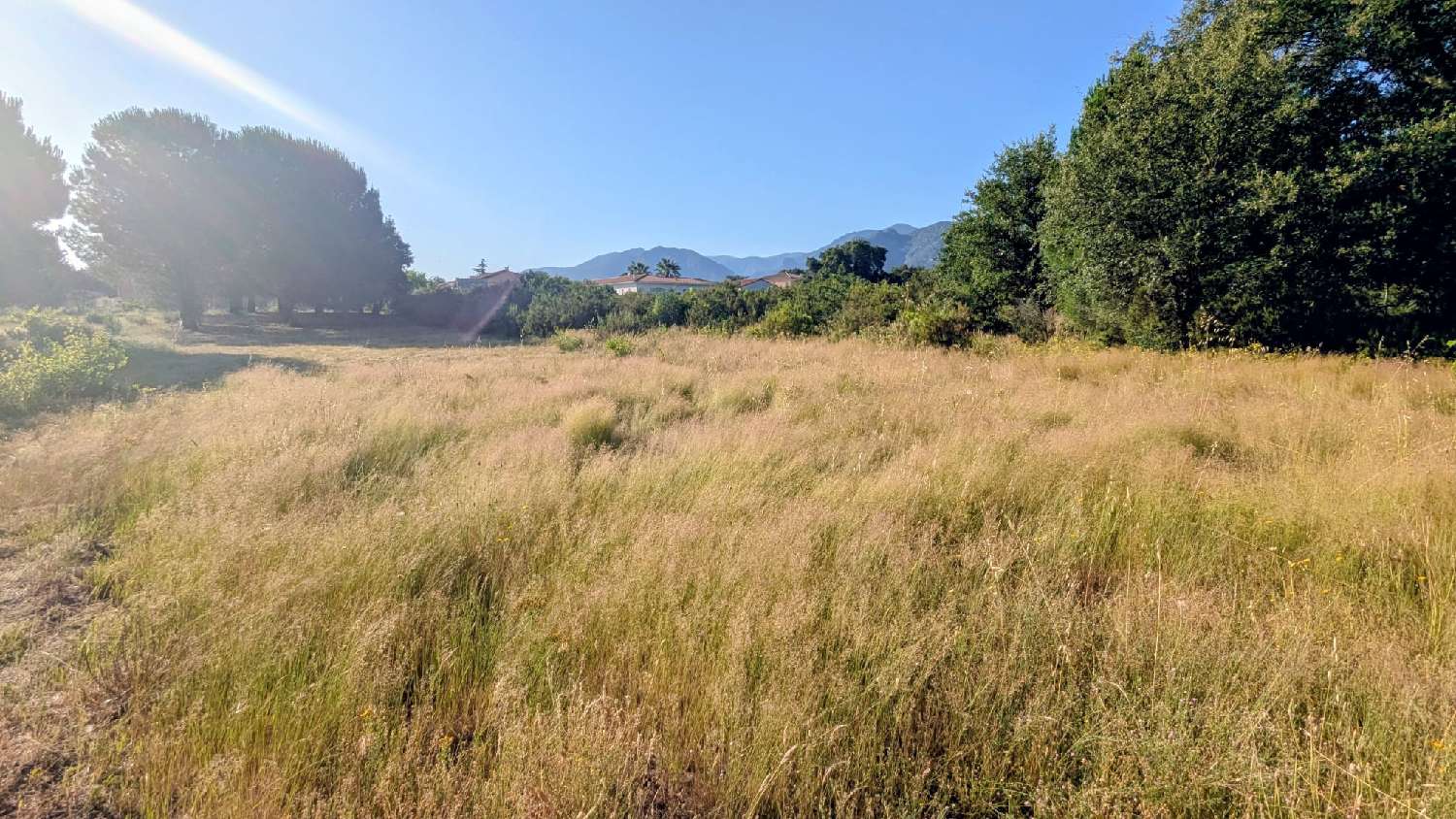 à vendre terrain Saint-André Pyrénées-Orientales 1