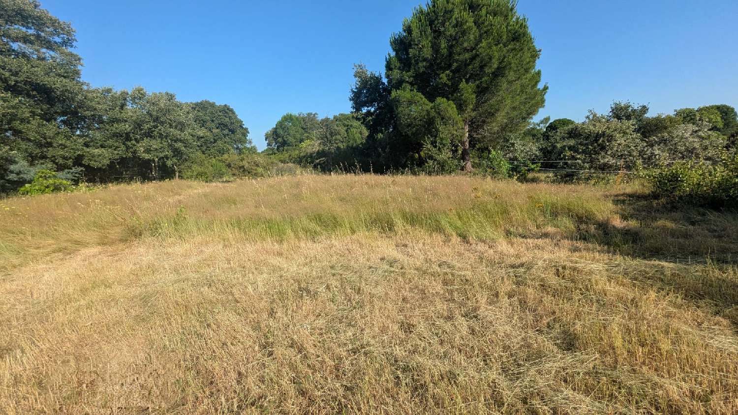à vendre terrain Saint-André Pyrénées-Orientales 4