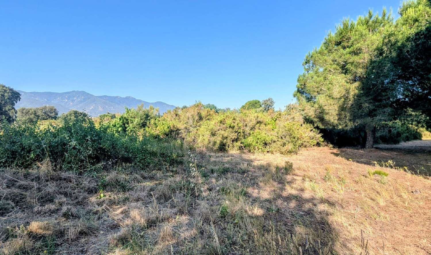 à vendre terrain Saint-André Pyrénées-Orientales 5