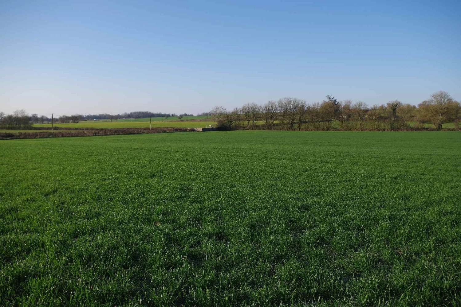 te koop terrein Anlezy Nièvre 2