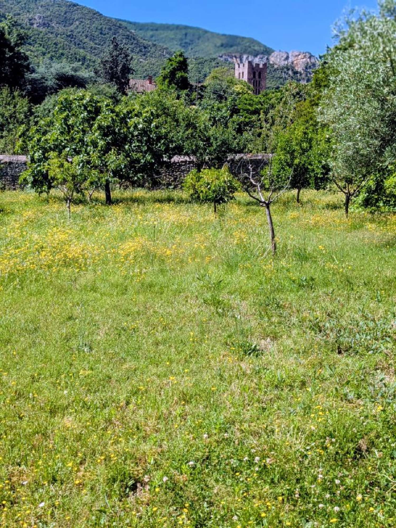  te koop terrein Arles-sur-Tech Pyrénées-Orientales 2