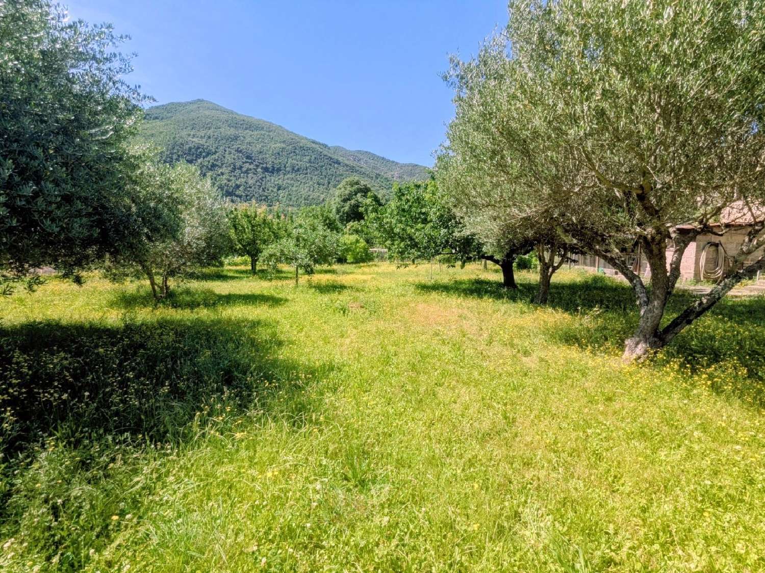  te koop terrein Arles-sur-Tech Pyrénées-Orientales 3