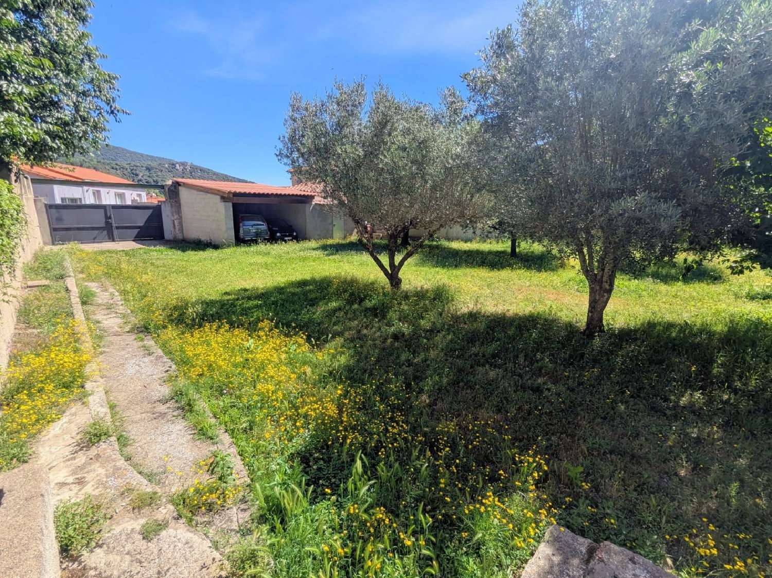  te koop terrein Arles-sur-Tech Pyrénées-Orientales 4