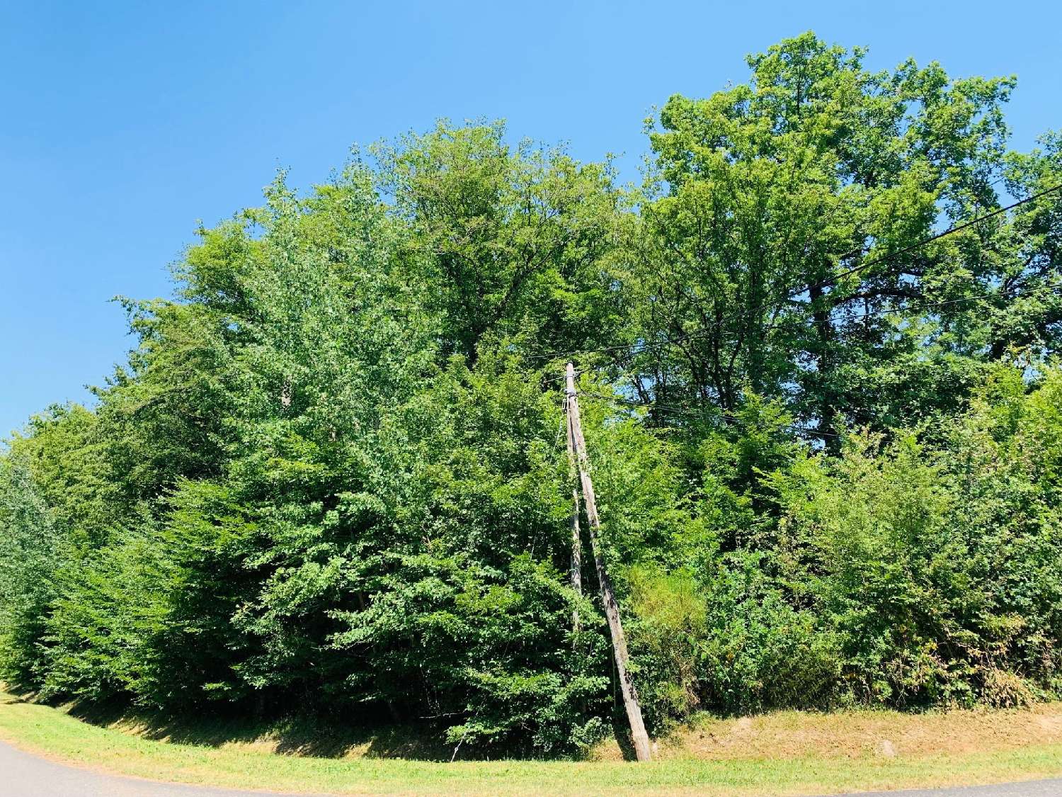 à vendre terrain Bazoches-sur-le-Betz Loiret 1