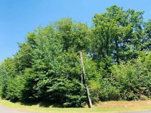 Bazoches-sur-le-Betz Loiret terrain foto 7372062