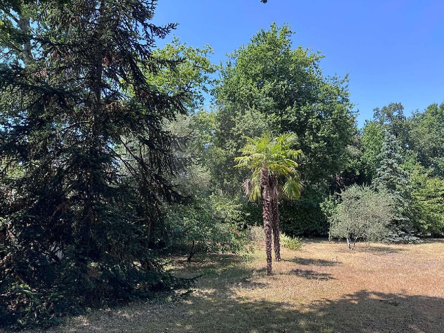 for sale terrain Breuillet Charente-Maritime 2