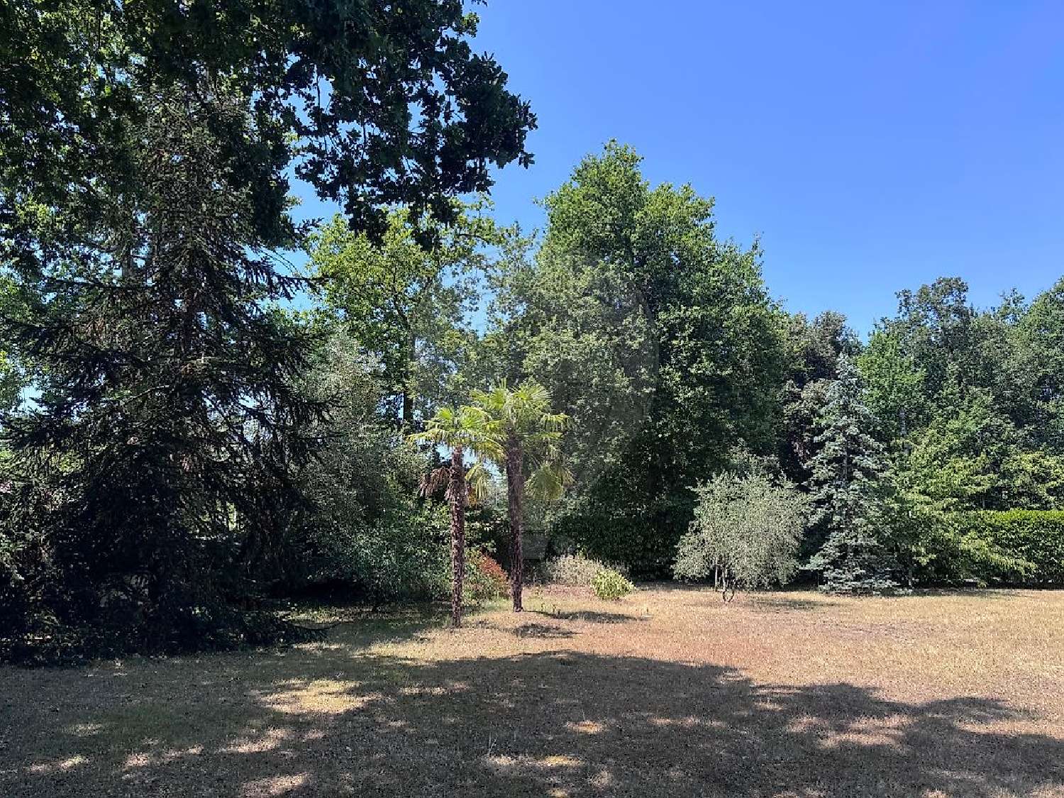 for sale terrain Breuillet Charente-Maritime 3