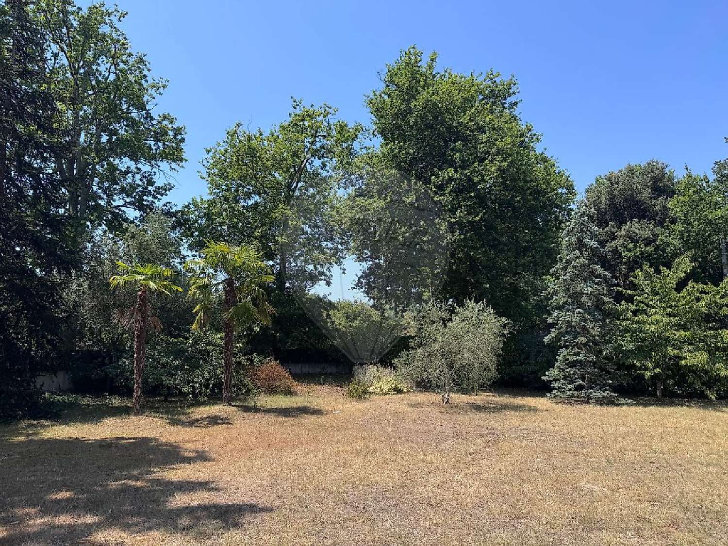 for sale terrain Breuillet Charente-Maritime 4
