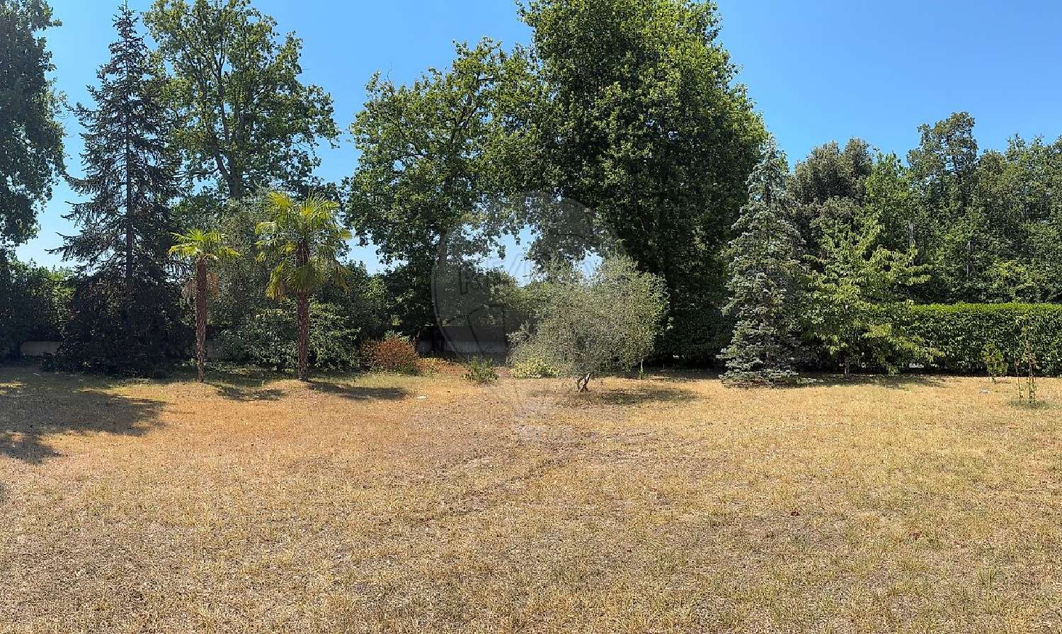 for sale terrain Breuillet Charente-Maritime 5