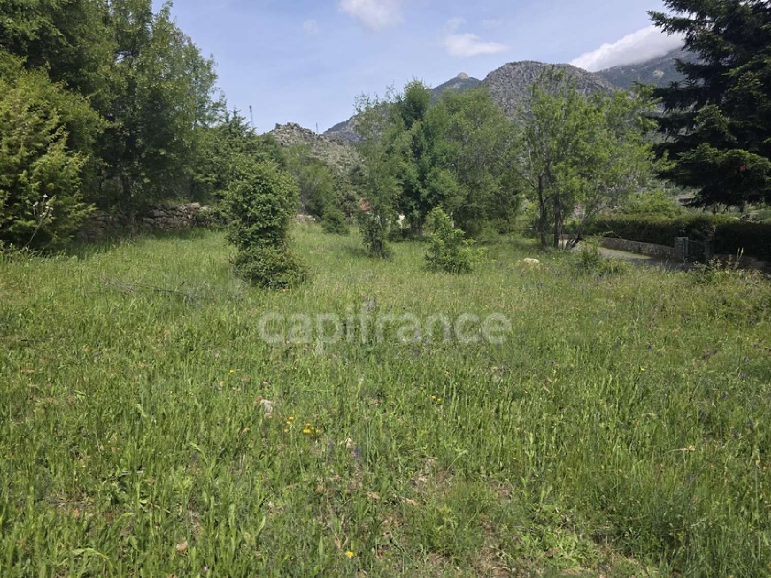 te koop terrein Calacuccia Haute-Corse 1