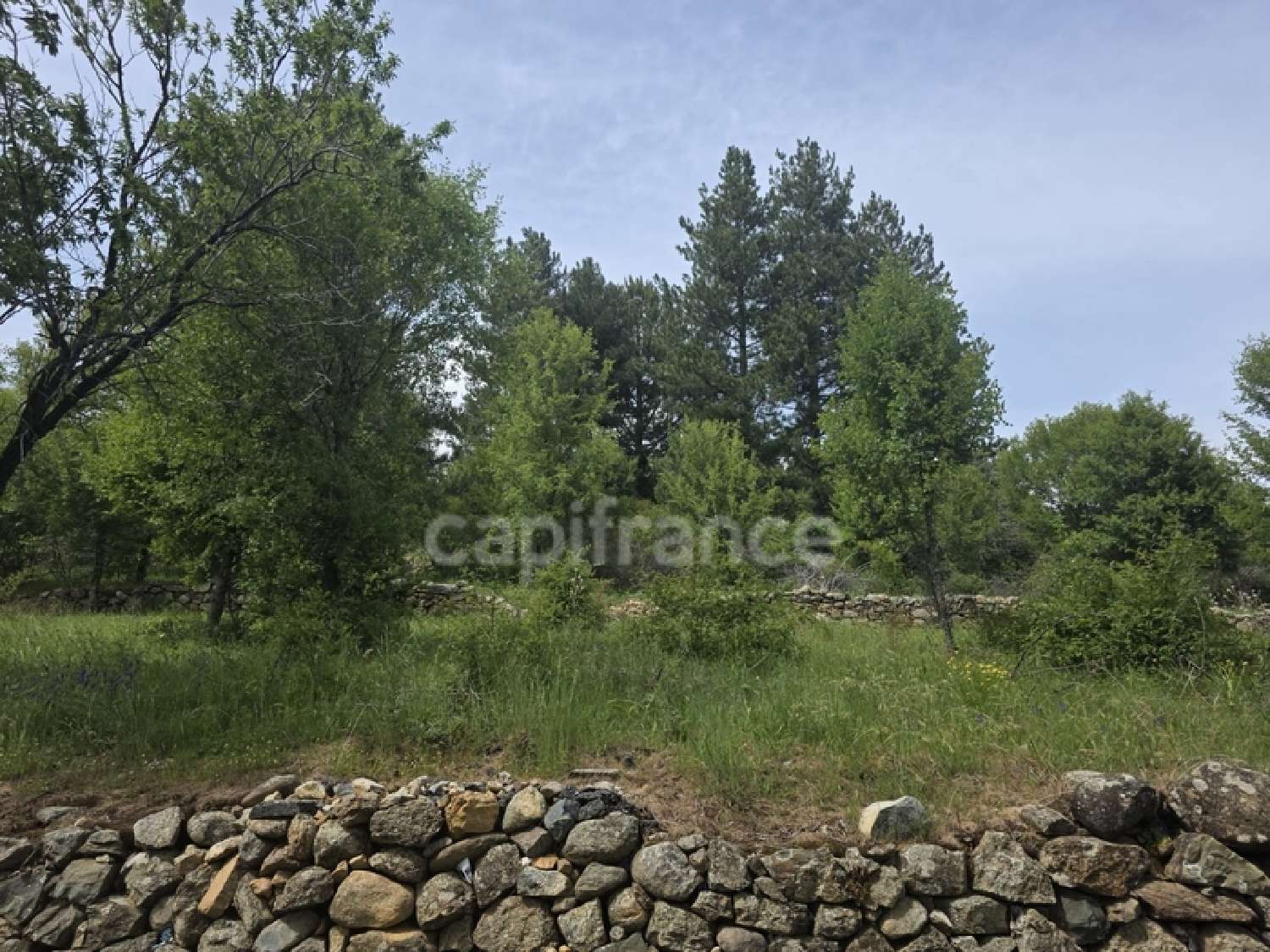te koop terrein Calacuccia Haute-Corse 2