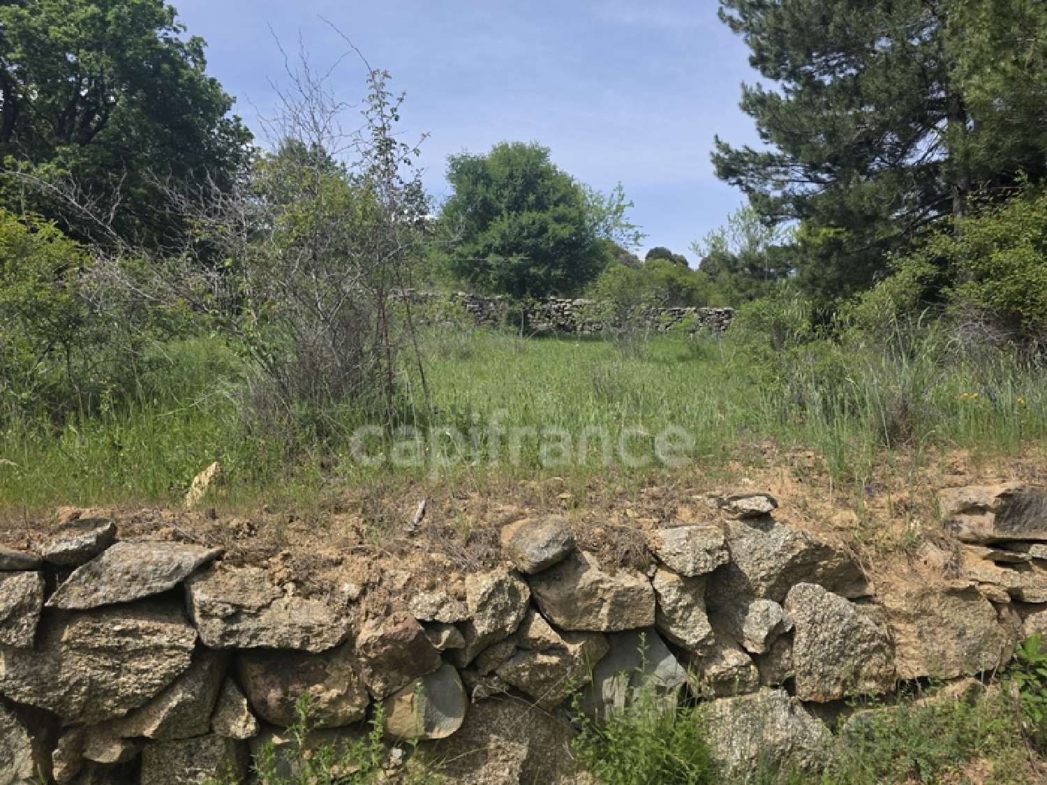 te koop terrein Calacuccia Haute-Corse 4