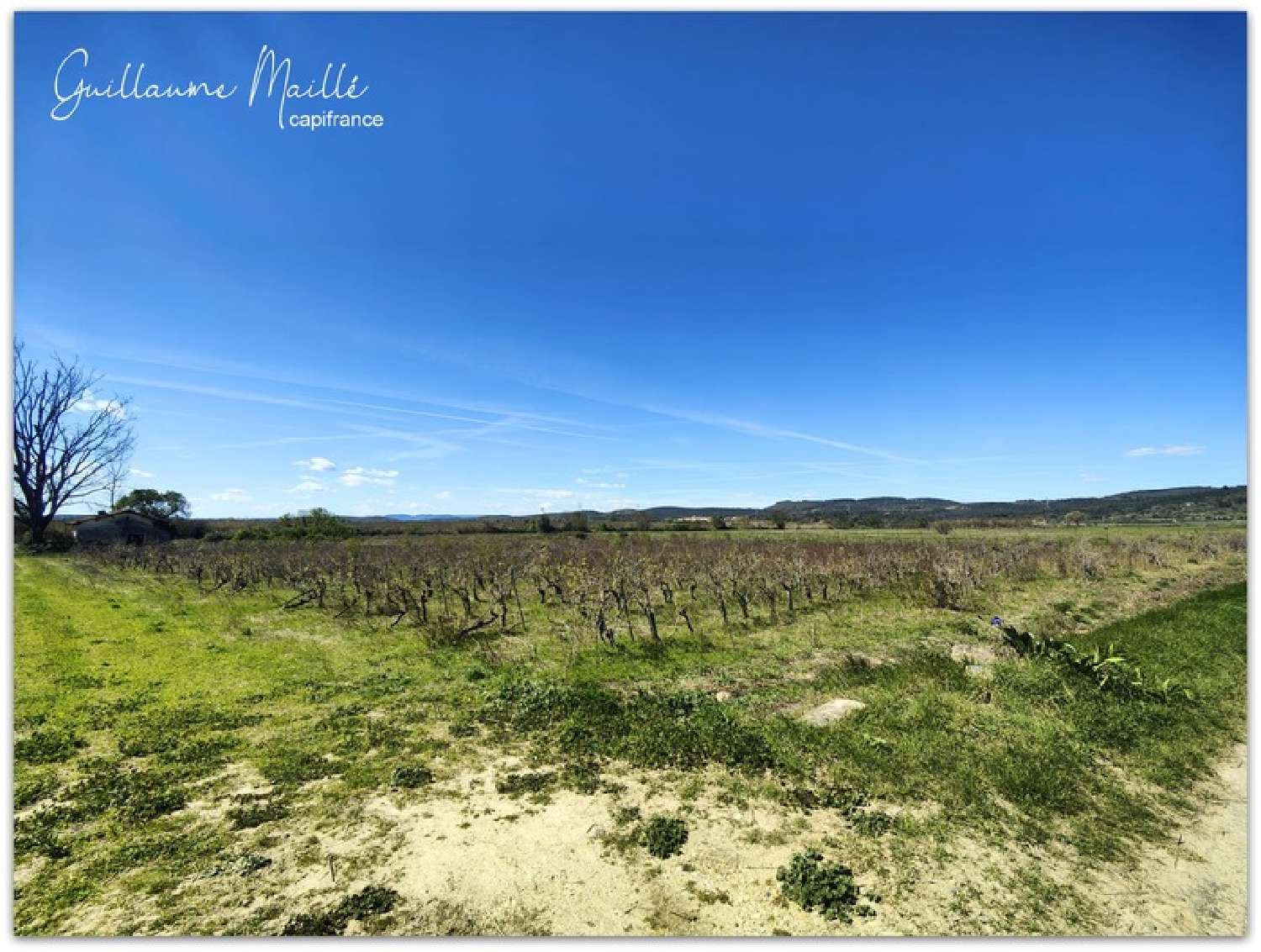 for sale terrain Caux Hérault 4