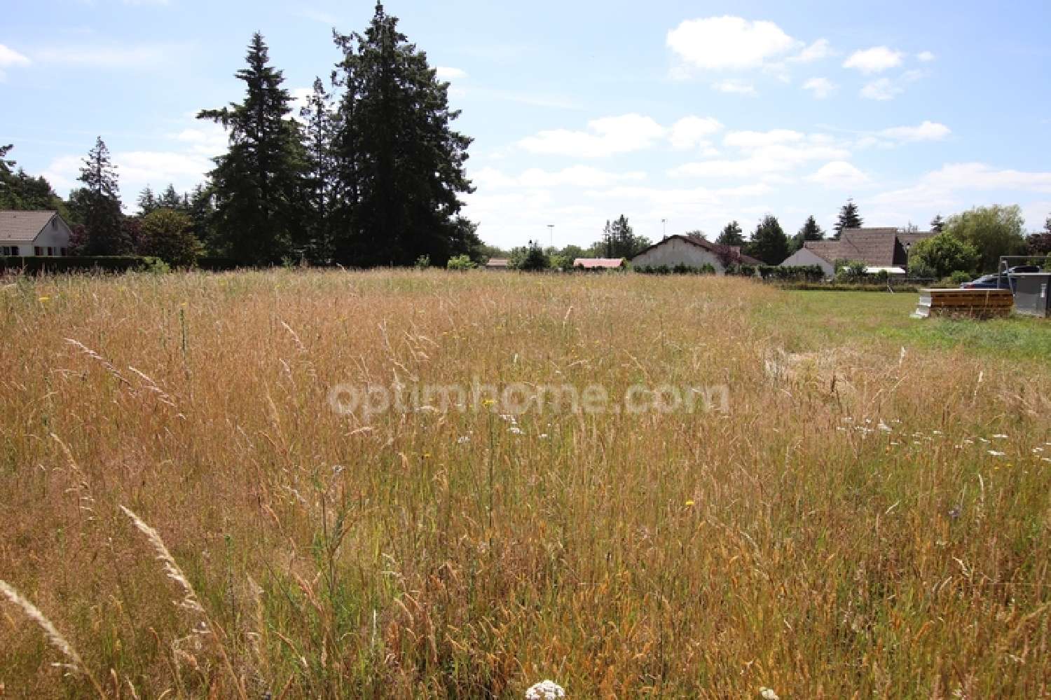 te koop terrein Chaumont-sur-Tharonne Loir-et-Cher 1