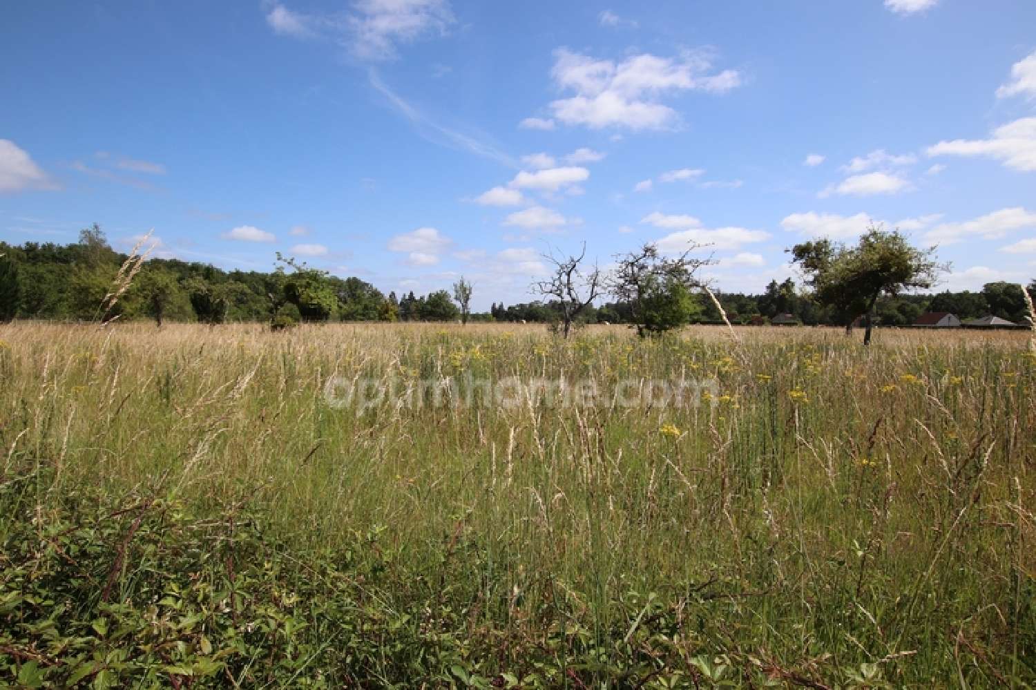 te koop terrein Chaumont-sur-Tharonne Loir-et-Cher 2