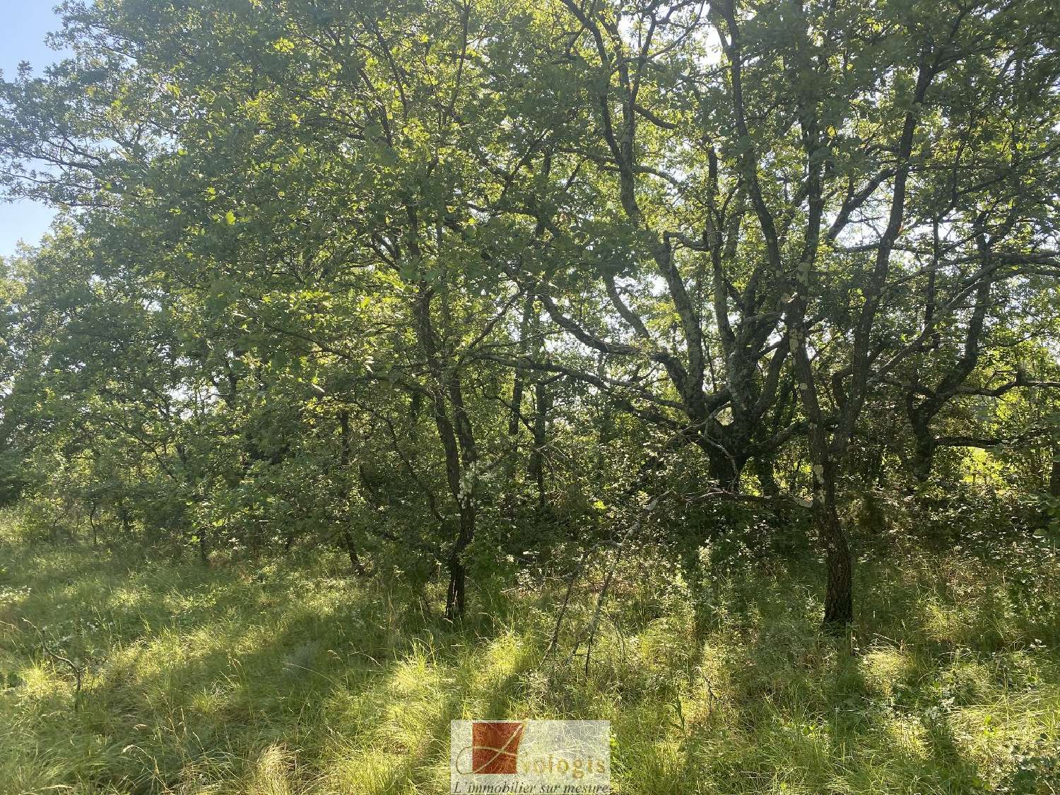 for sale terrain Claret Hérault 8