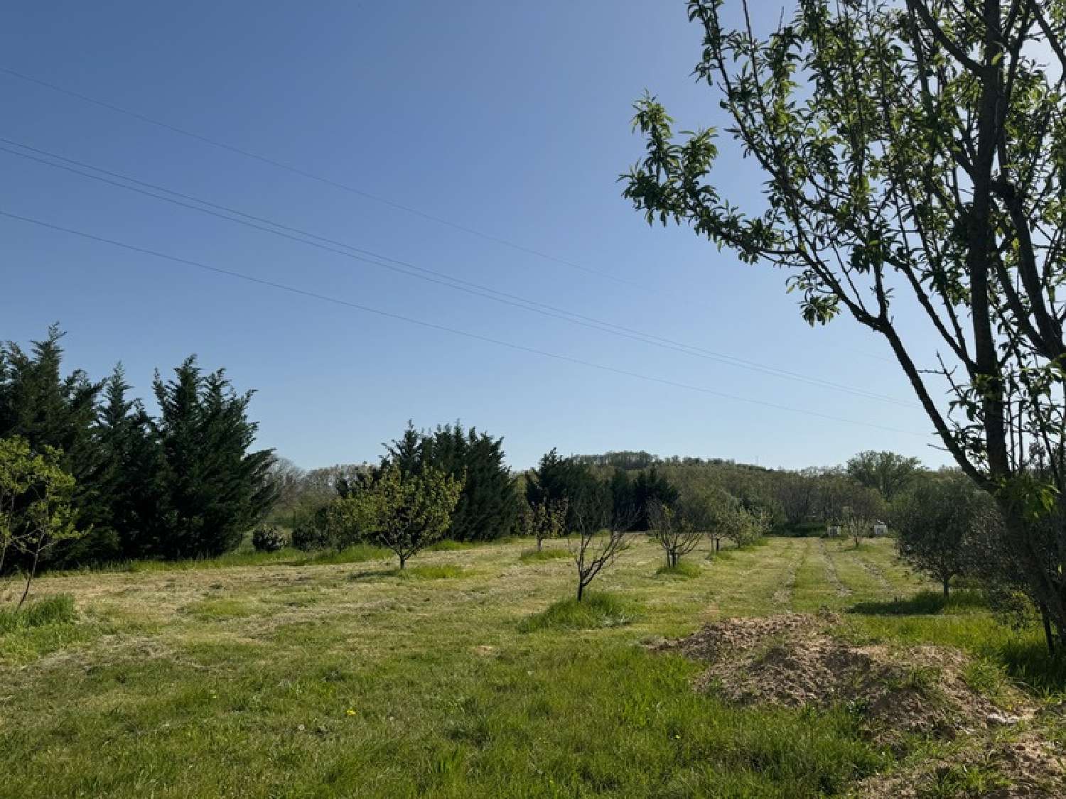 for sale terrain Collias Gard 1