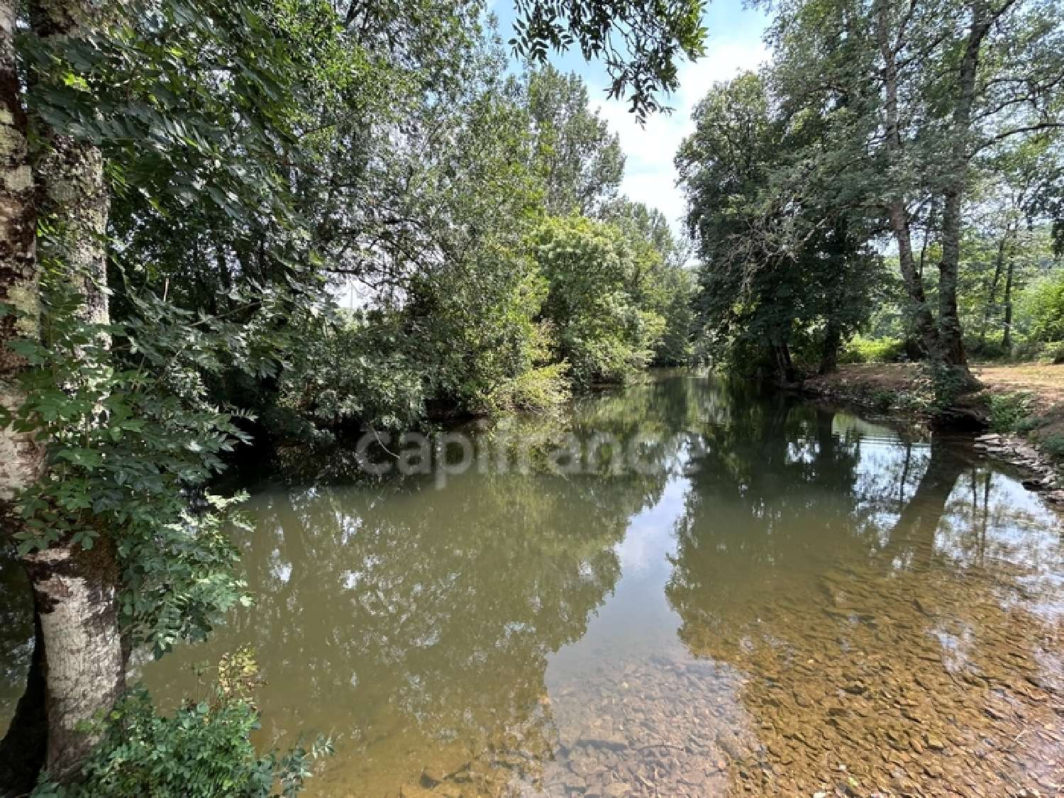  à vendre terrain Coulaures Dordogne 3
