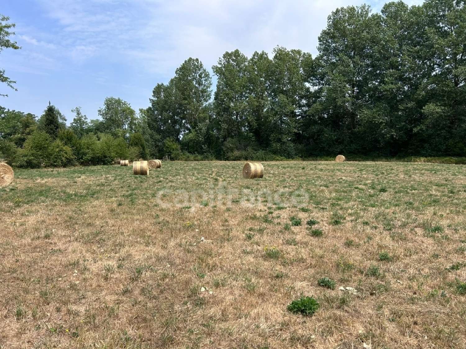  à vendre terrain Coulaures Dordogne 4