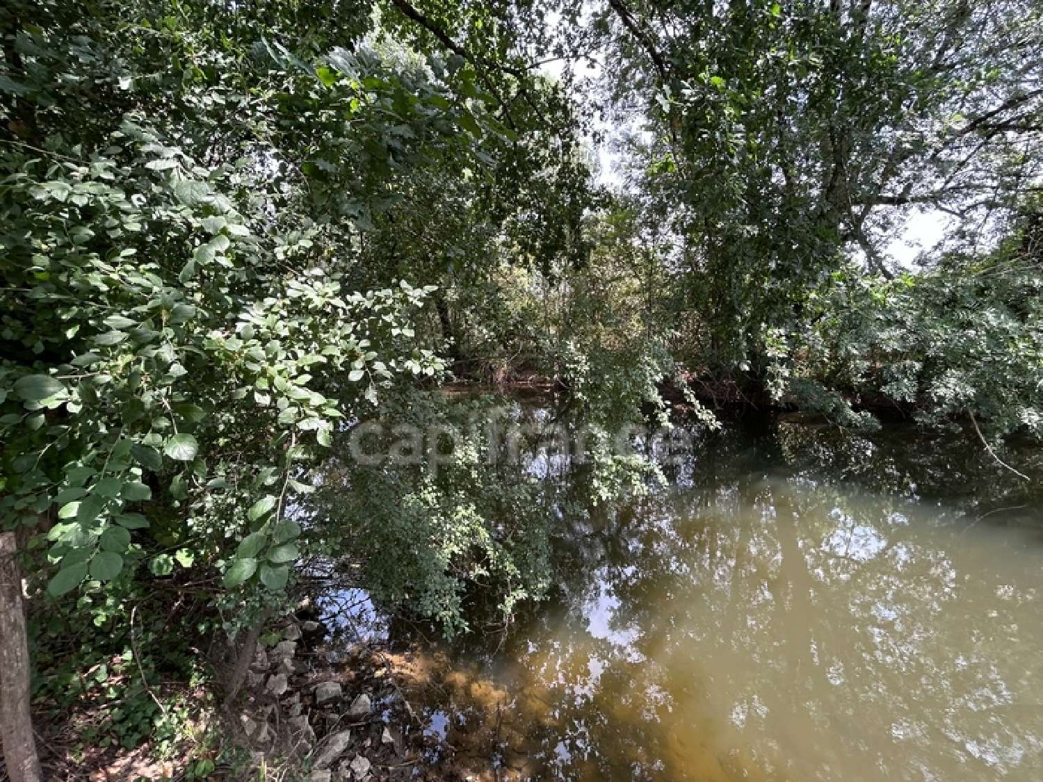  à vendre terrain Coulaures Dordogne 6