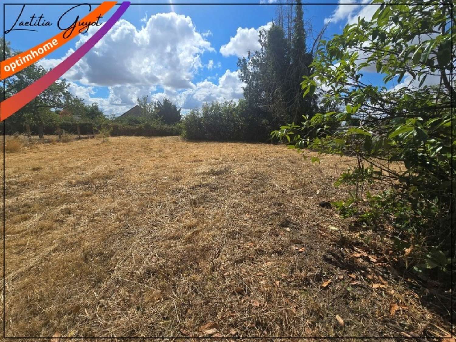  for sale terrain Cressanges Allier 1