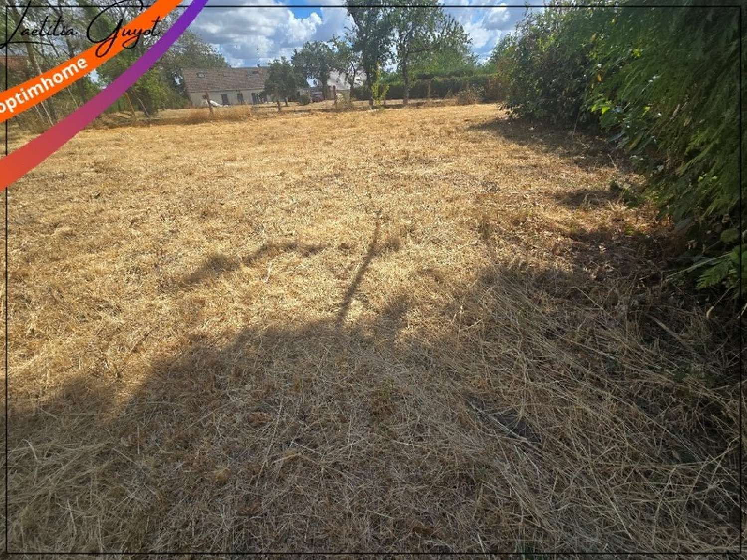  for sale terrain Cressanges Allier 8