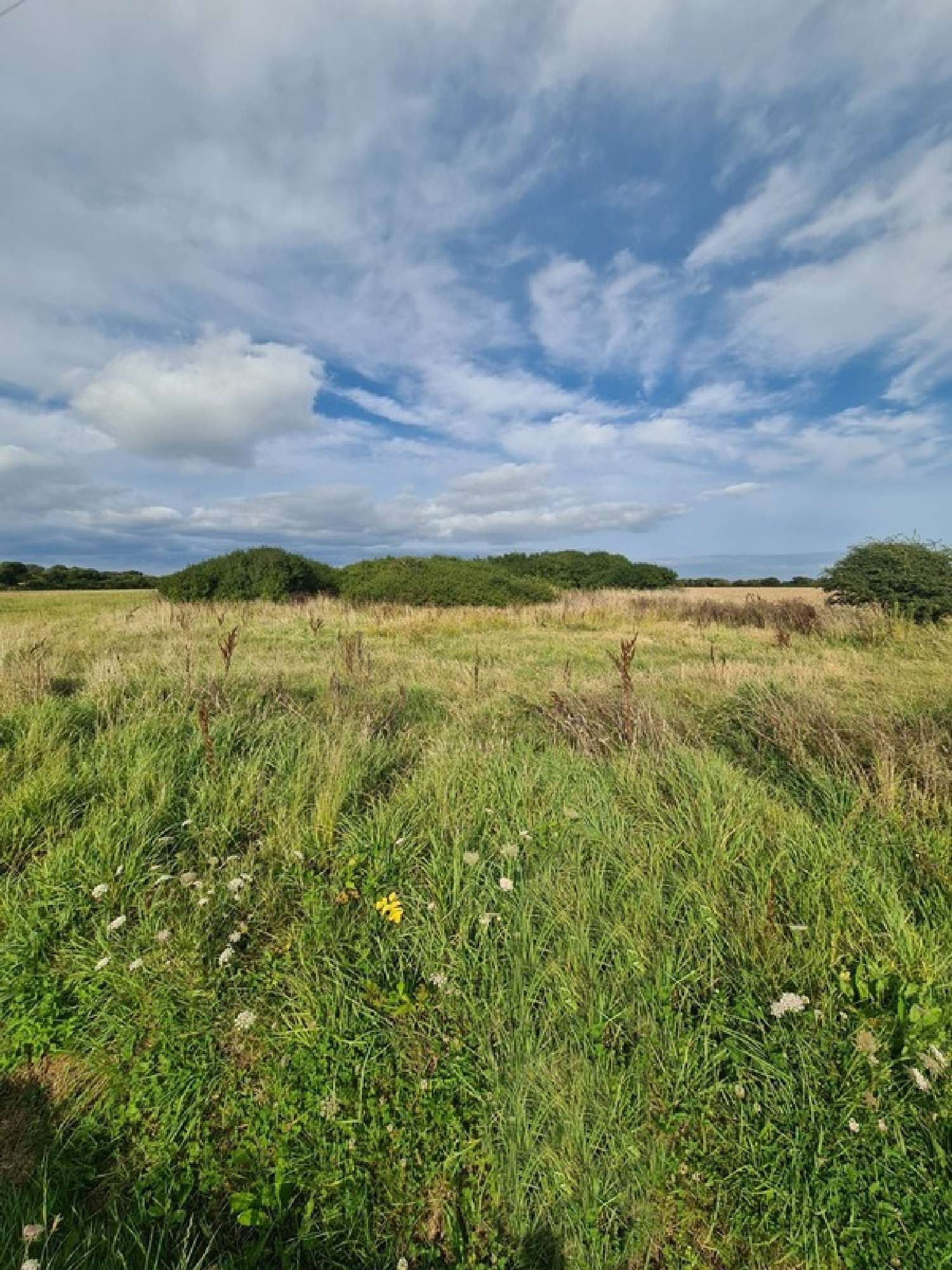 te koop terrein Crozon Finistère 1