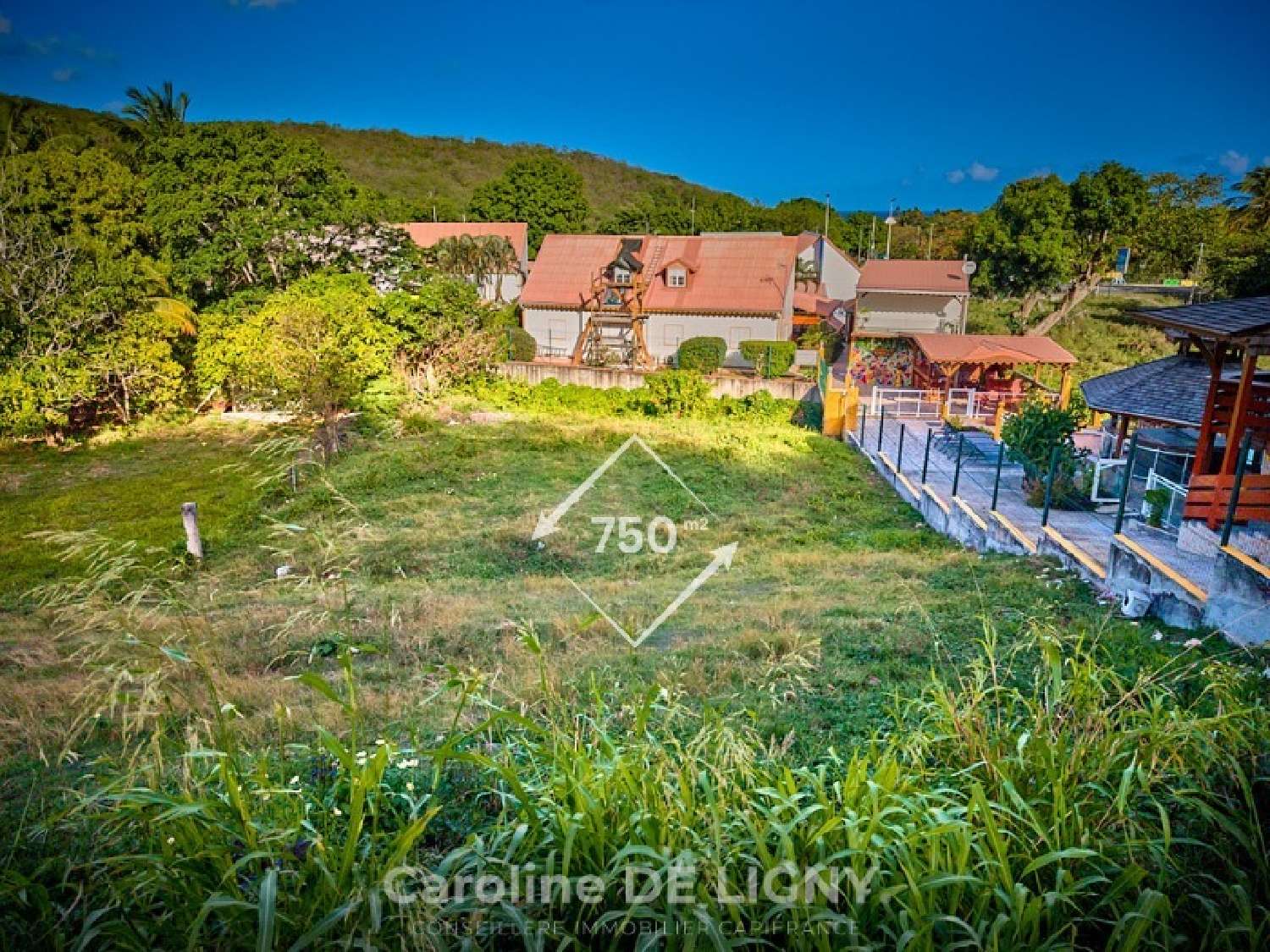  te koop terrein Deshaies Guadeloupe 4