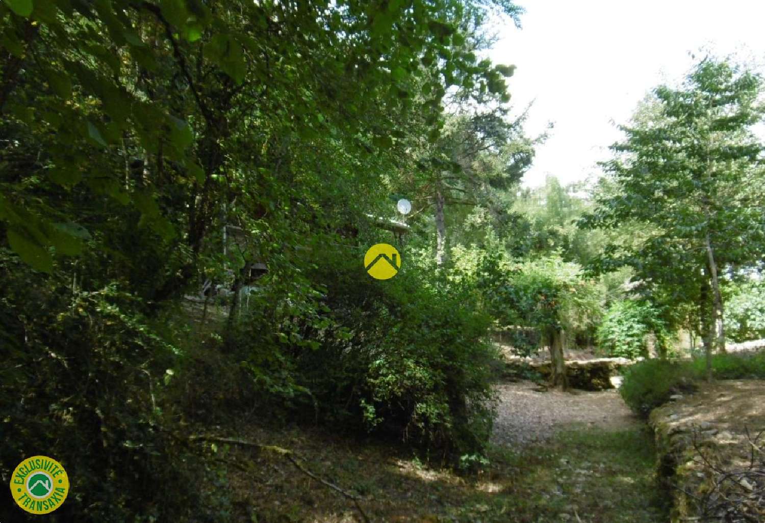 for sale terrain Fontgombault Indre 5