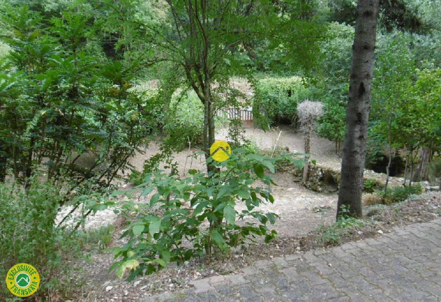 for sale terrain Fontgombault Indre 8