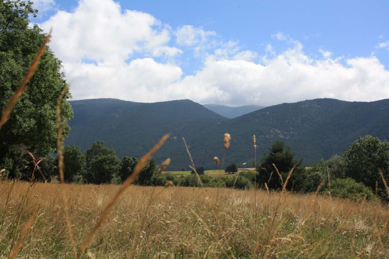 kaufen Grundstück Formiguères Pyrénées-Orientales 1