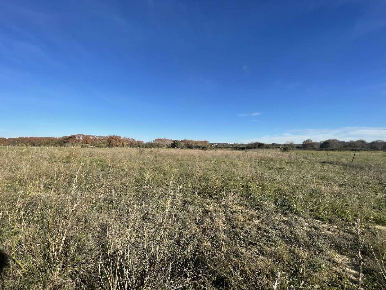 for sale terrain Gallargues-le-Montueux Gard 5
