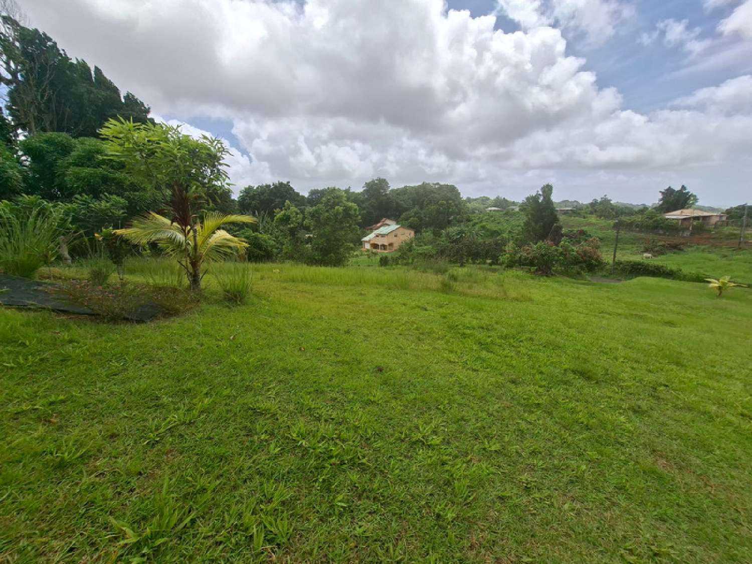 te koop terrein Gros-Morne Martinique 2