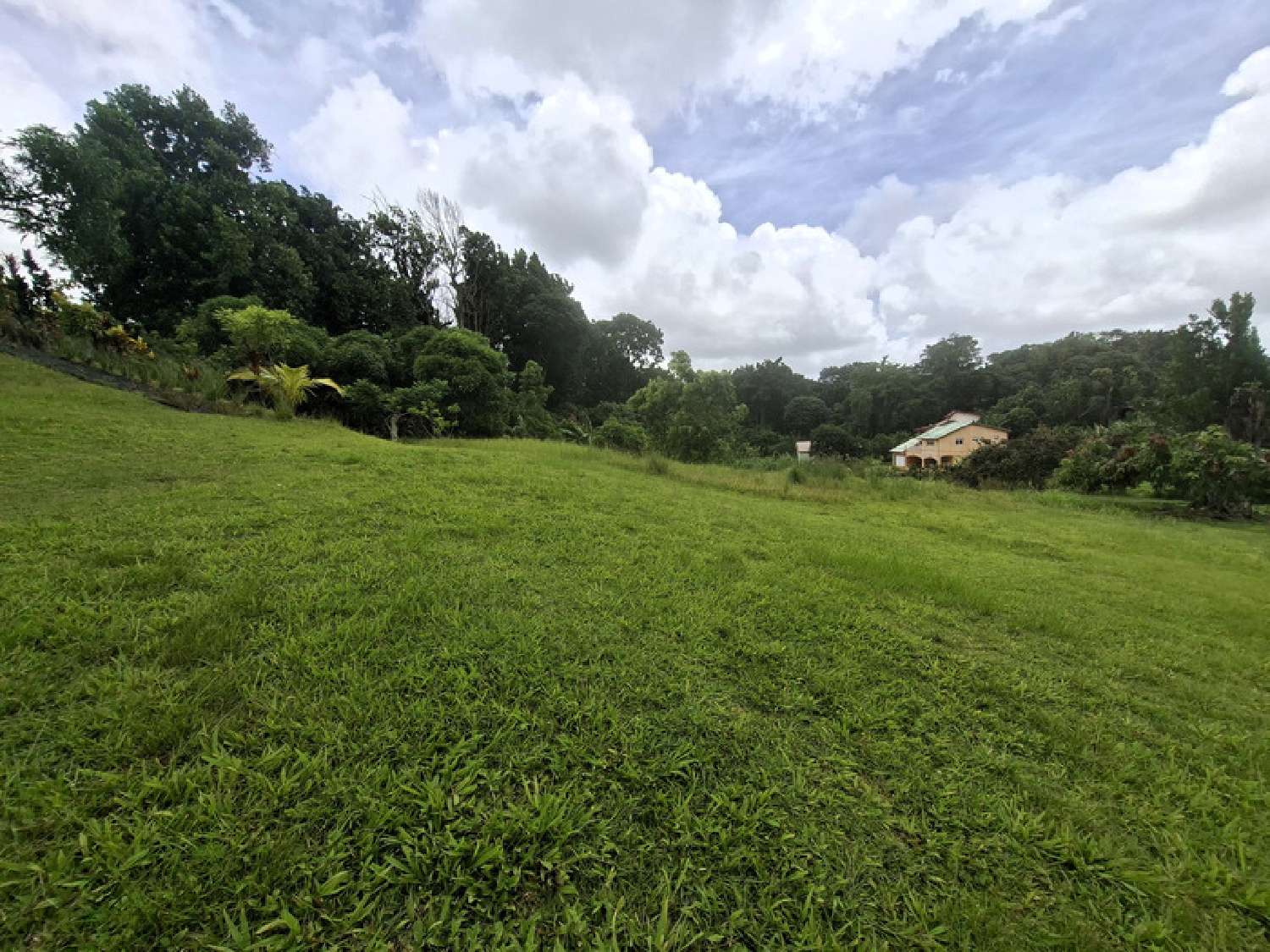 te koop terrein Gros-Morne Martinique 3