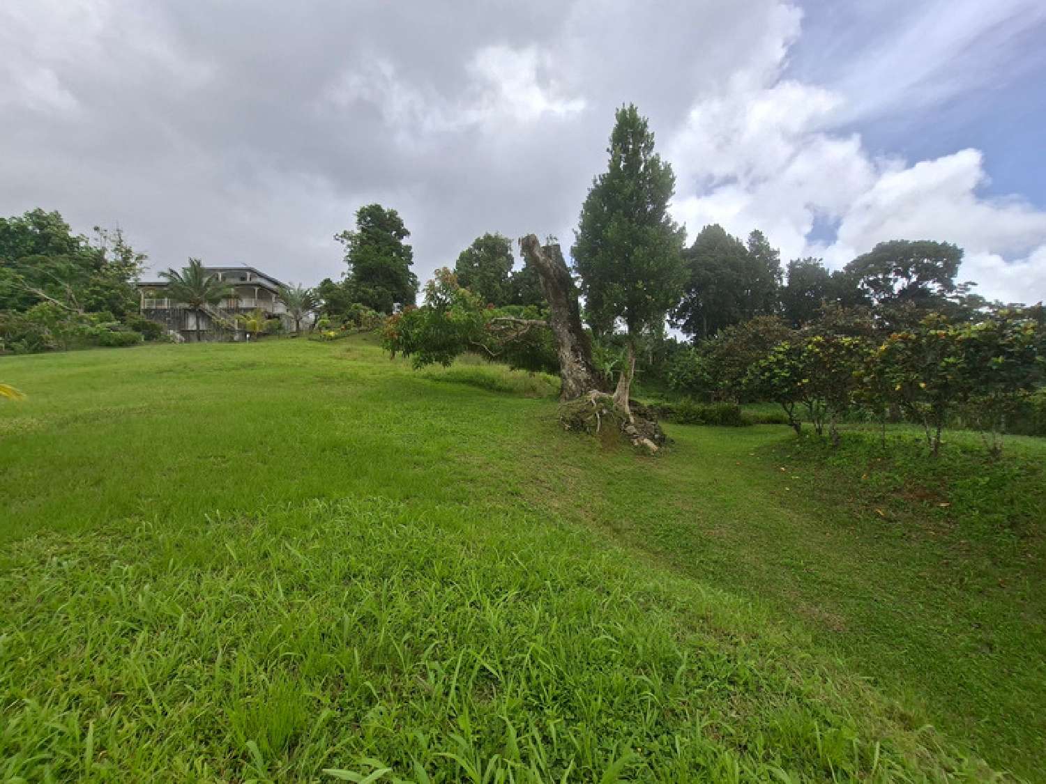 te koop terrein Gros-Morne Martinique 4