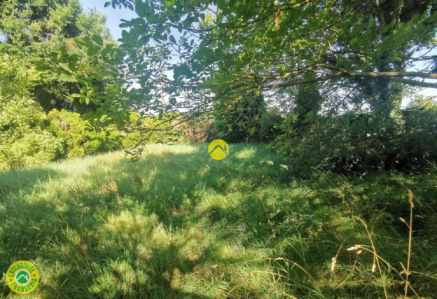 à vendre terrain Grossouvre Cher 1