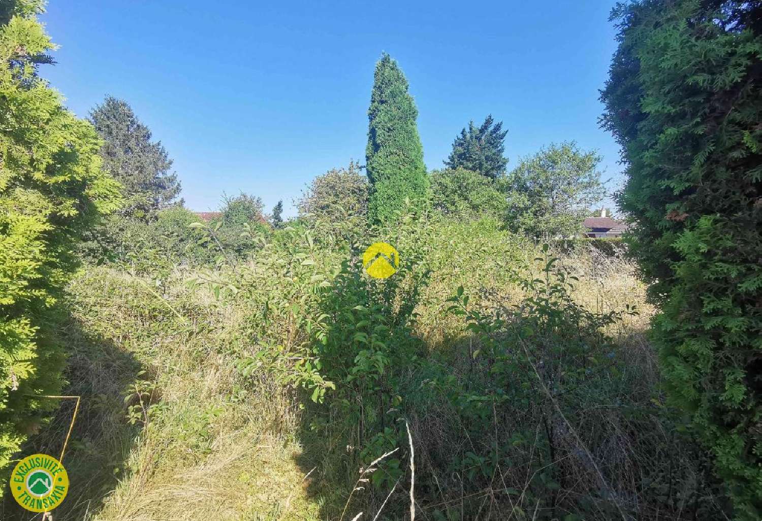 à vendre terrain Grossouvre Cher 2