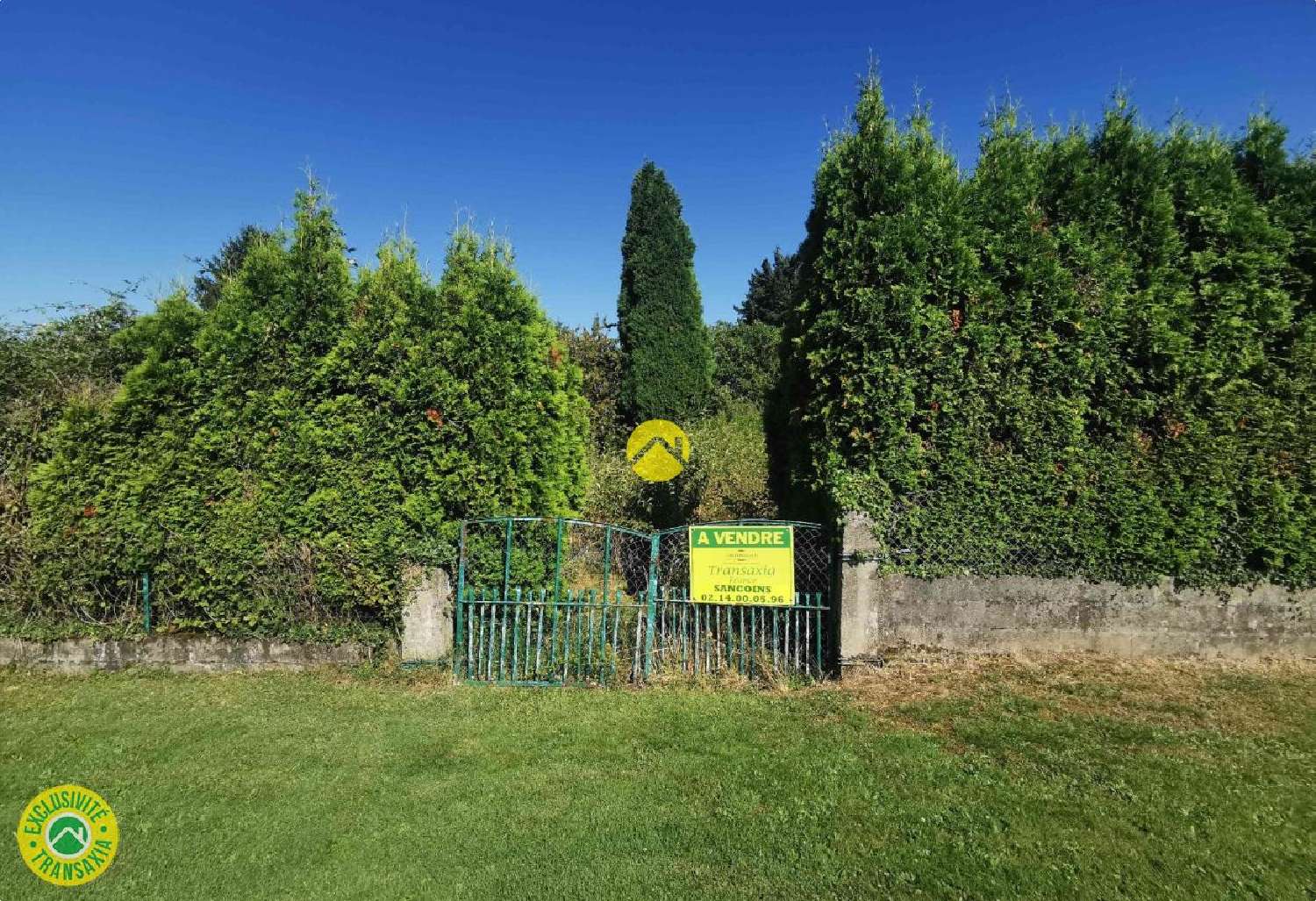 à vendre terrain Grossouvre Cher 3