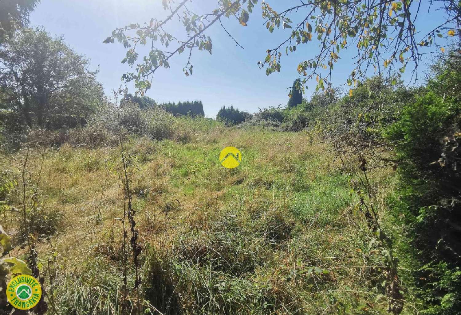à vendre terrain Grossouvre Cher 4