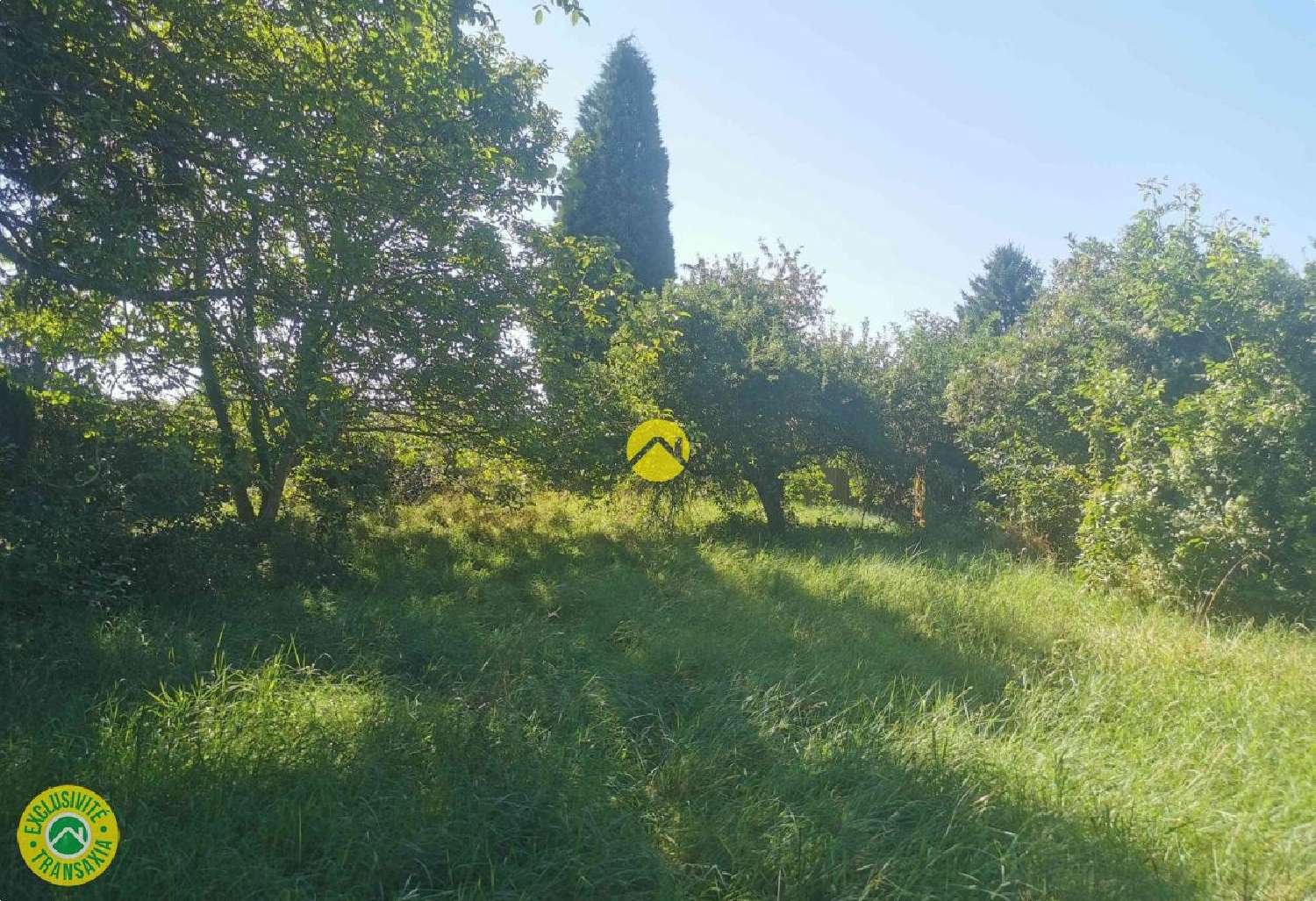 à vendre terrain Grossouvre Cher 5