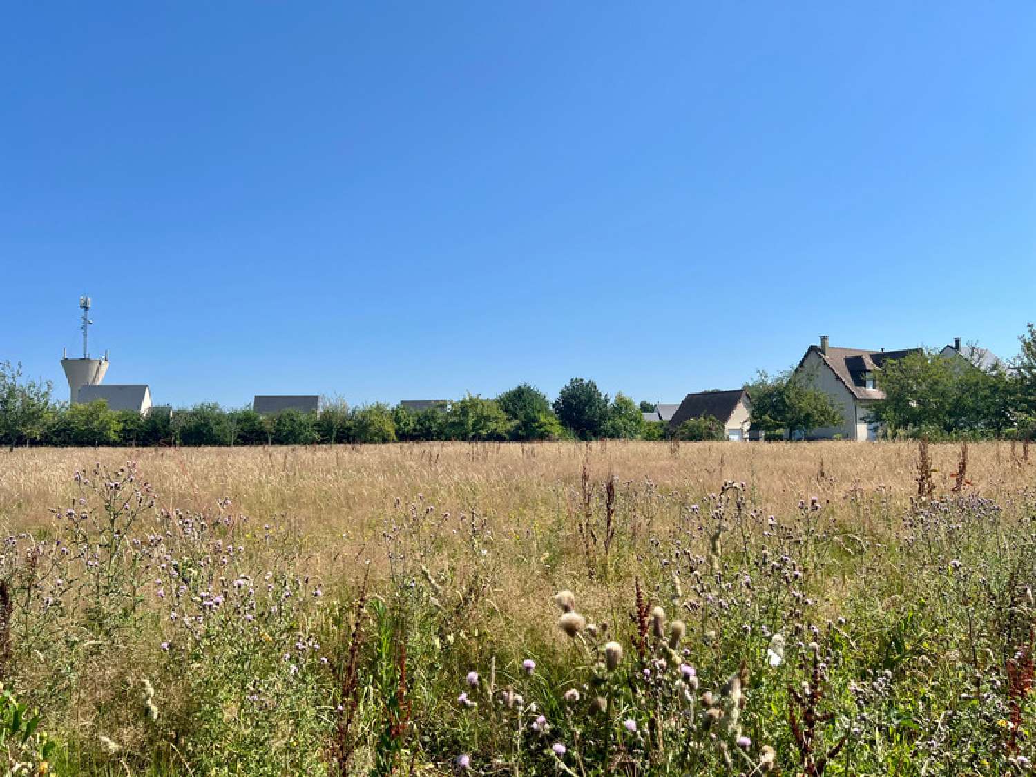 for sale terrain Heuland Calvados 5