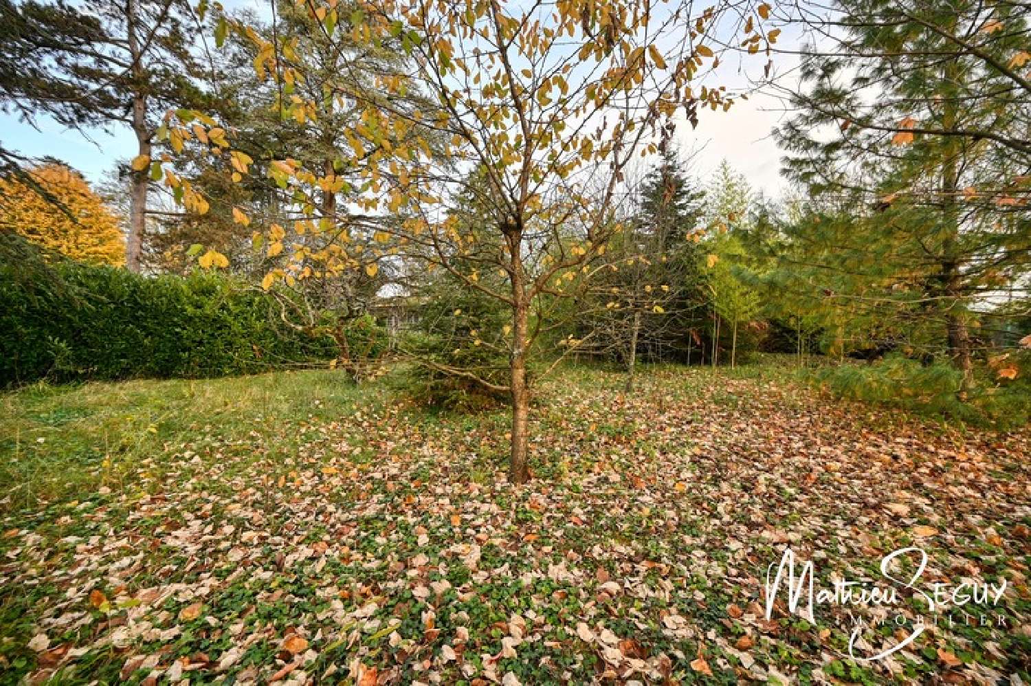 for sale terrain Jonage Rhône 3