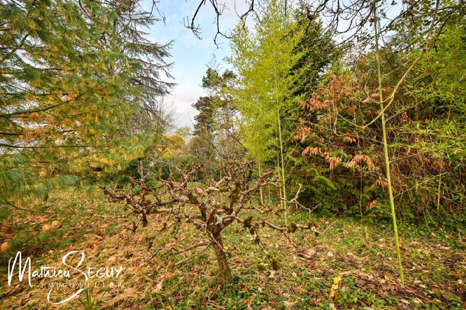 for sale terrain Jonage Rhône 6